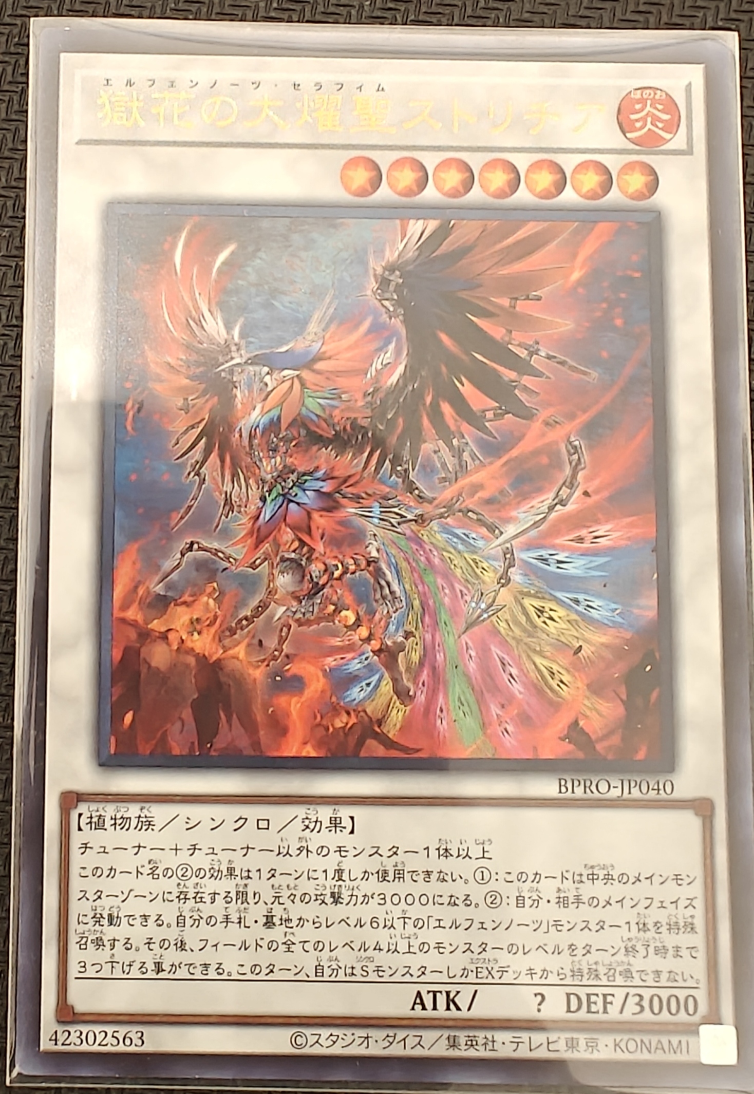 獄花の大燿聖ストリチア